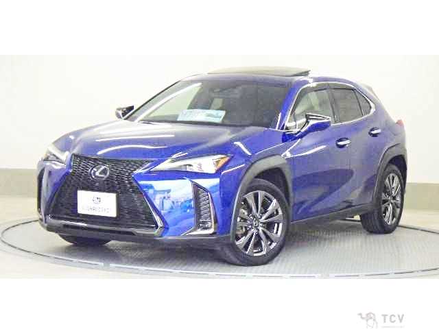 2020 Lexus Other
