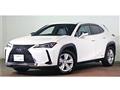 2020 Lexus Other