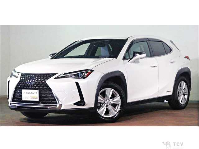 2020 Lexus Other