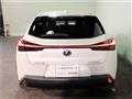 2020 Lexus Other