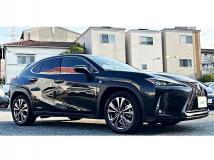 2020 Lexus Other
