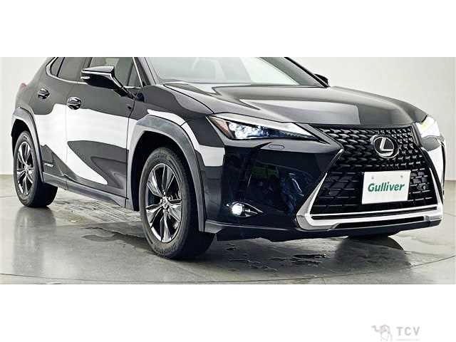 2020 Lexus Other