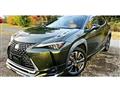 2020 Lexus Other