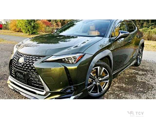 2020 Lexus Other