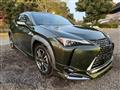 2020 Lexus Other