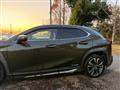 2020 Lexus Other