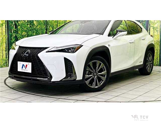 2020 Lexus Other