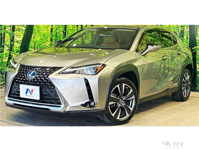2020 Lexus Other