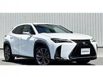 2020 Lexus Other