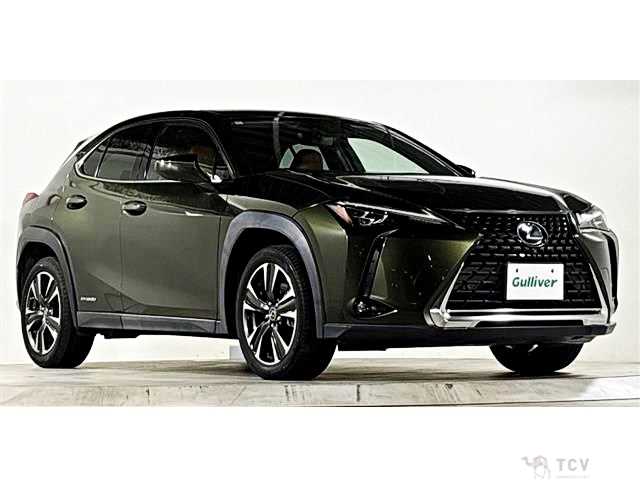 2020 Lexus Other