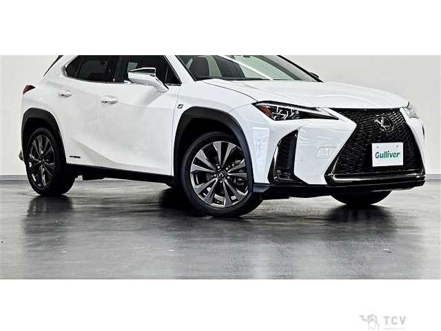 2020 Lexus Other