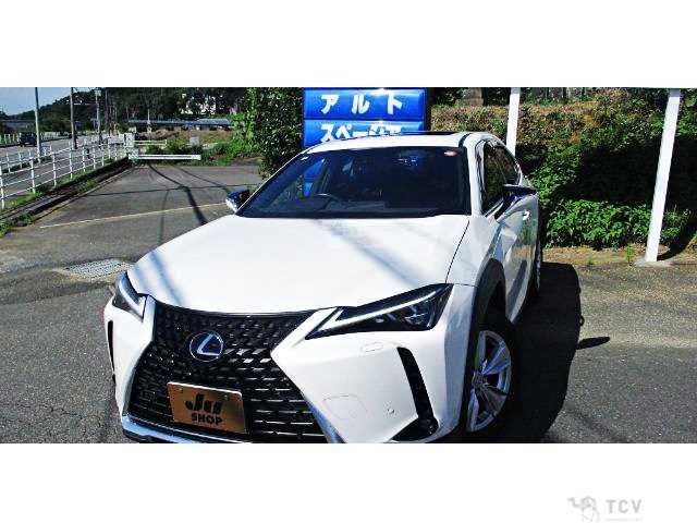 2020 Lexus Other
