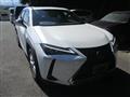 2020 Lexus Other
