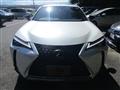 2020 Lexus Other
