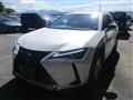 2020 Lexus Other