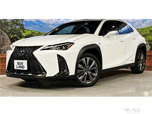 2020 Lexus Other