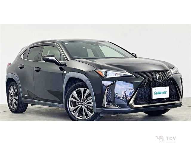 2020 Lexus Other
