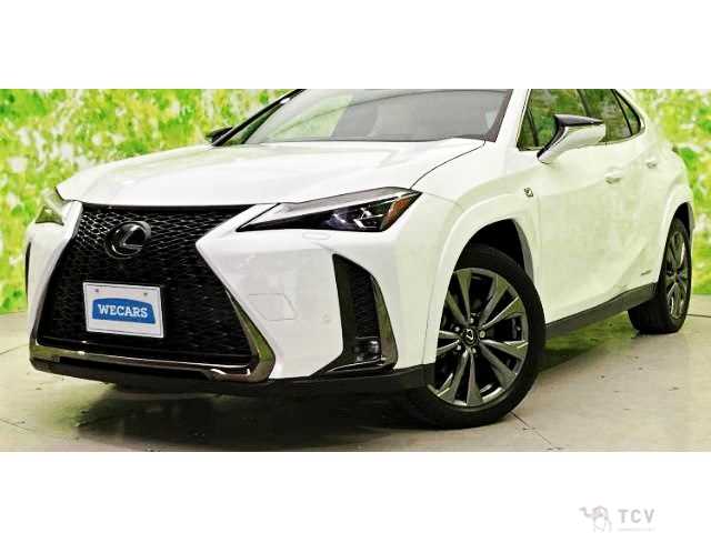 2020 Lexus Other
