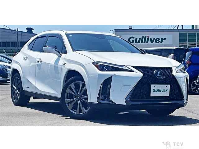 2020 Lexus Other