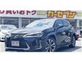 2020 Lexus Other