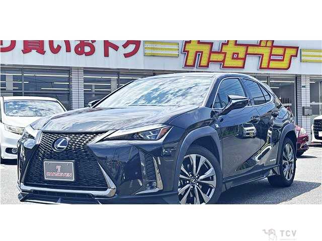 2020 Lexus Other