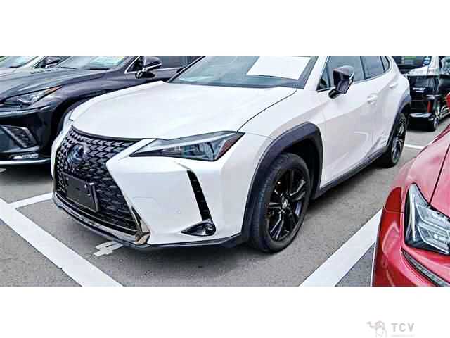 2020 Lexus Other