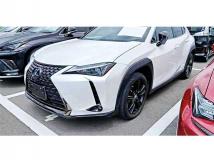2020 Lexus Other
