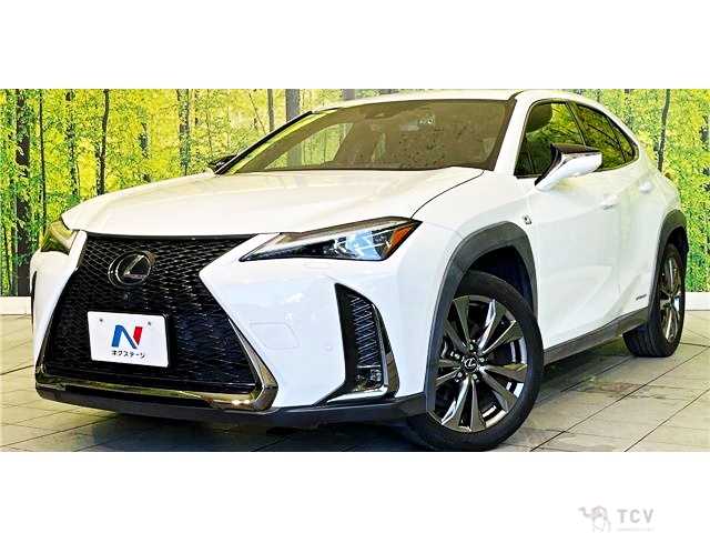 2020 Lexus Other