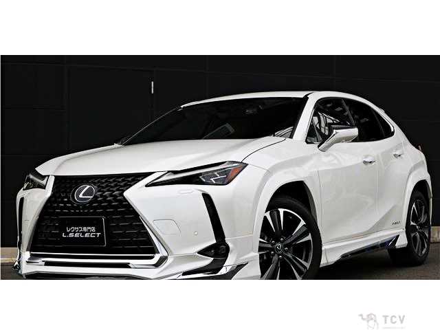 2020 Lexus Other