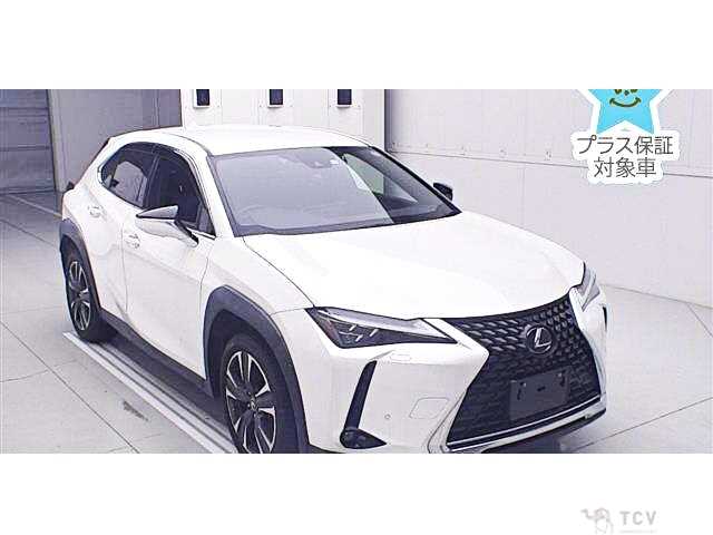 2023 Lexus Other
