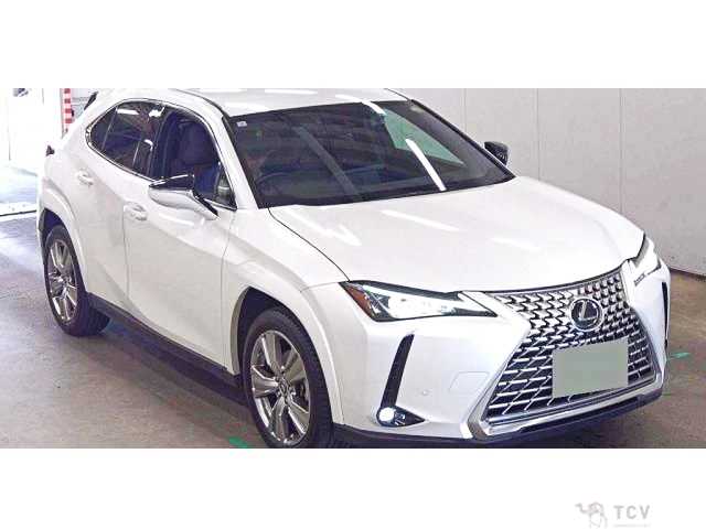 2023 Lexus Other