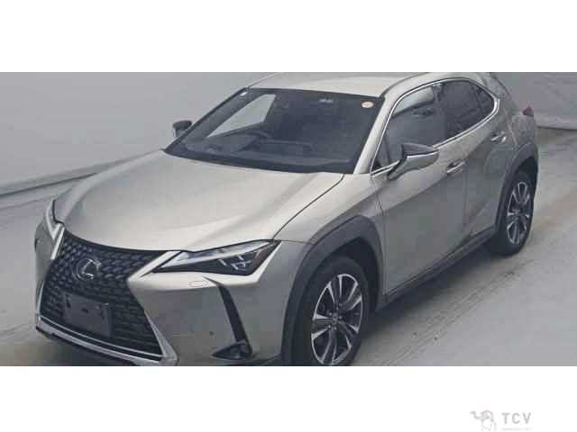 2023 Lexus Other