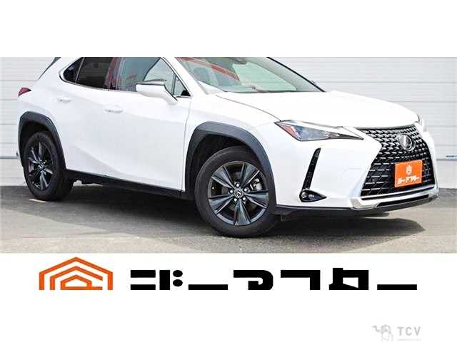 2023 Lexus Other