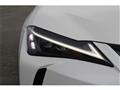 2023 Lexus Other