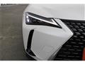2023 Lexus Other