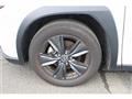 2023 Lexus Other