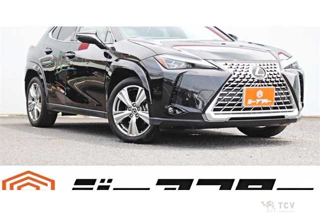 2023 Lexus Other