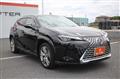 2023 Lexus Other