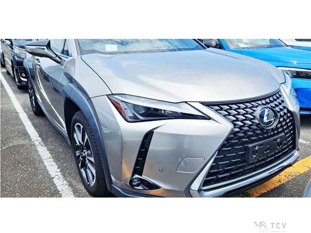 2023 Lexus Other