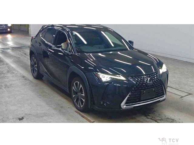 2023 Lexus Other