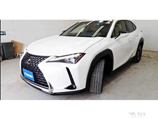 2023 Lexus Other