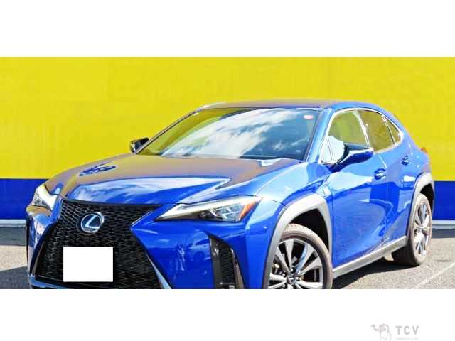 2023 Lexus Other