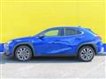 2023 Lexus Other