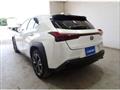 2023 Lexus Other