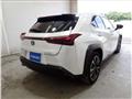 2023 Lexus Other