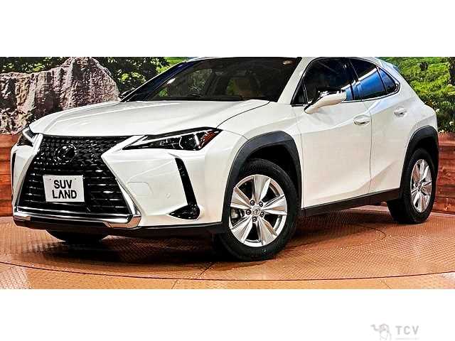 2023 Lexus Other