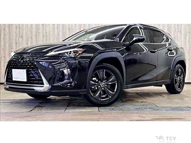 2023 Lexus Other
