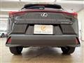 2023 Lexus Other