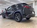 2023 Lexus Other