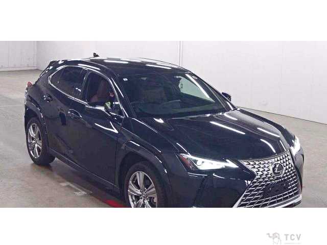 2023 Lexus Other